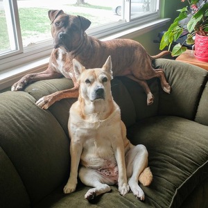 Fundraising Page: LILLIE NEWTON